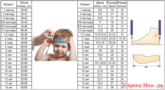 Окружность головы 40. Размер головы у 2х месячного ребенка. Размер окружности головы у детей таблица по возрасту. Объем головы по возрасту таблица. Размеры головы по месяцам таблица.